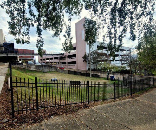 Pet Friendly Area Vicksburg MS – 1