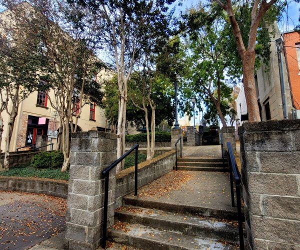 26-2023-11-12 15.25.49