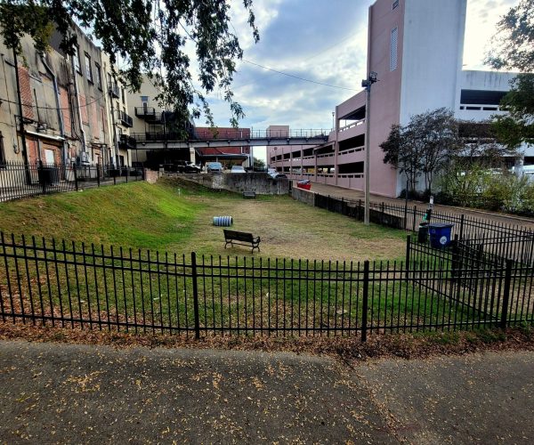 Pet Friendly Area Vicksburg MS – 3