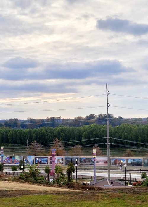 History & Culture Vicksburg MS – 6